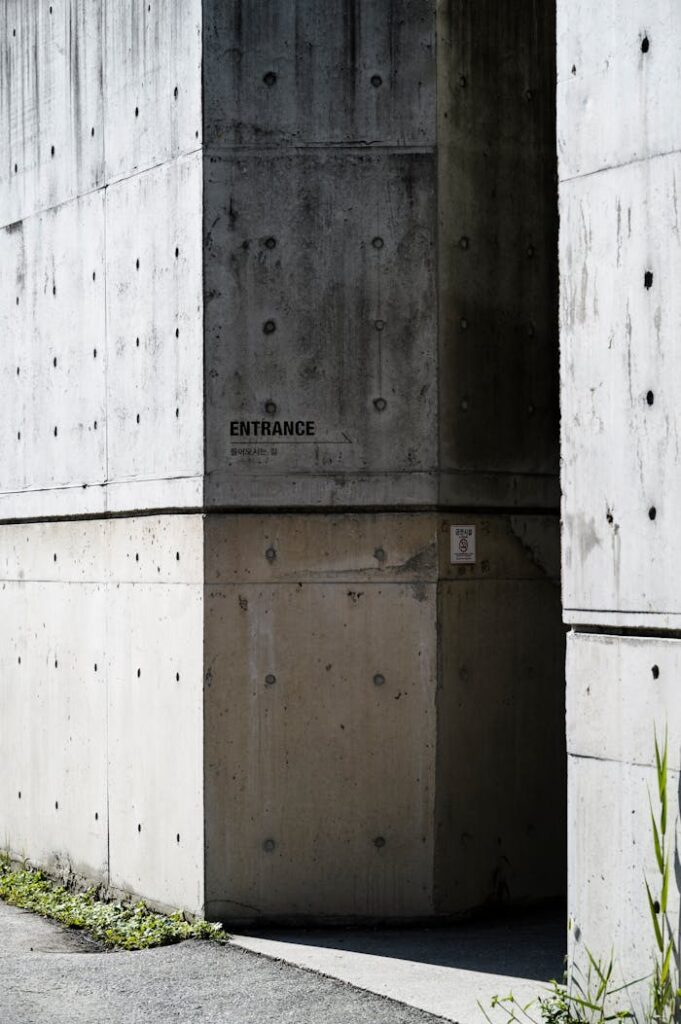 pexels photo 33999713.jpeg